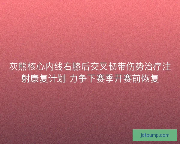 灰熊核心内线右膝后交叉韧带伤势治疗注射康复计划 力争下赛季开赛前恢复